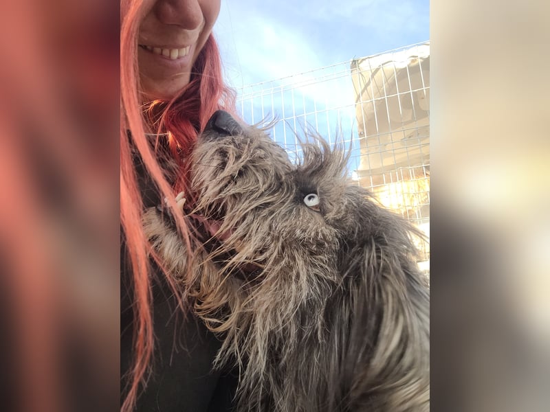 BLUE - Ozeanblaue Augen suchen DICH