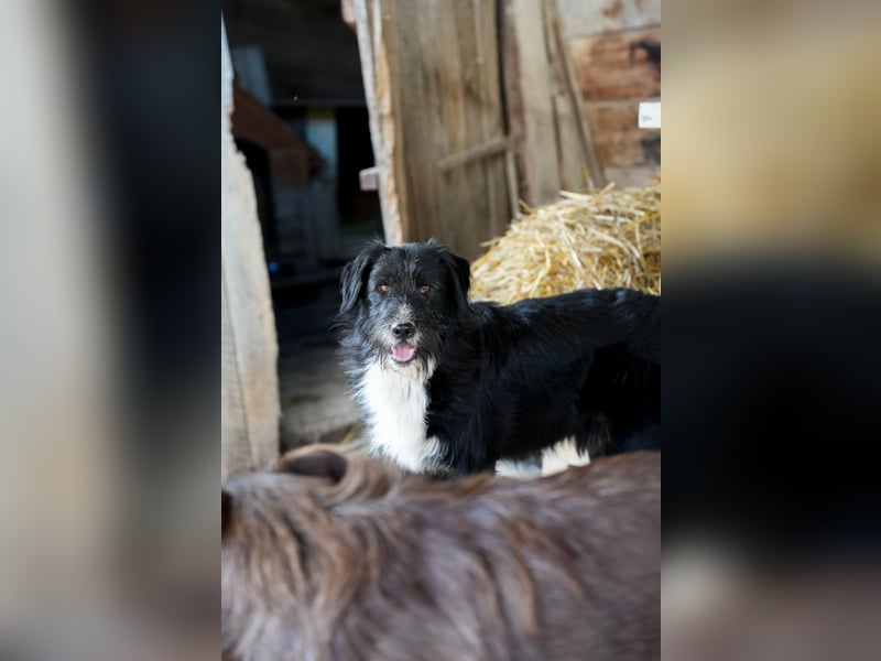 BLACKY möchte das Leben kennenlernen