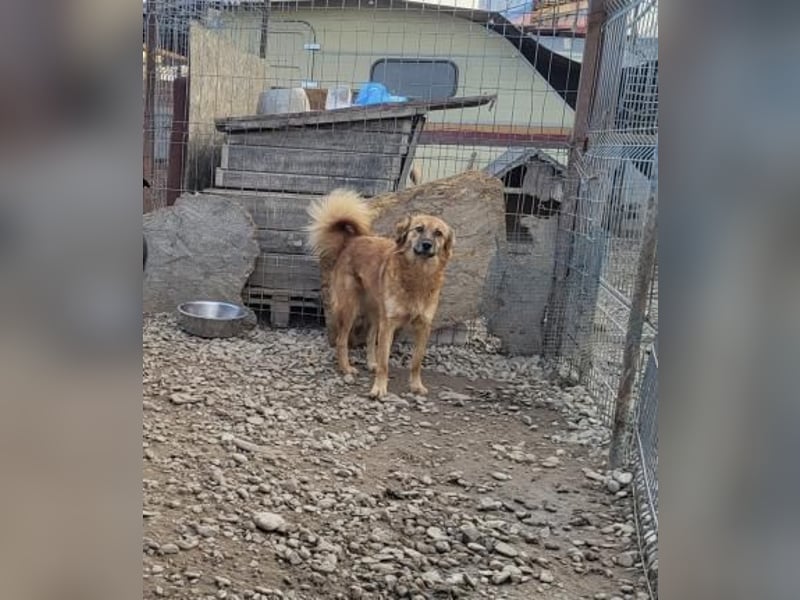 Sanfte TESSA sucht DIch!