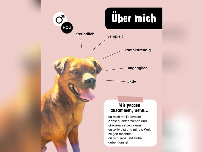 Der fröhliche LORD
