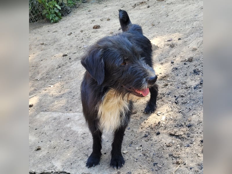 BLACKY möchte das Leben kennenlernen