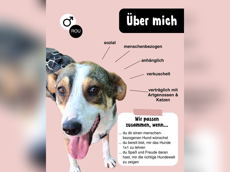 Henry, ein süßer Prinz