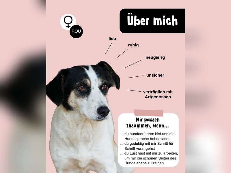 Schüchterne KLARA mit viel Potenzial