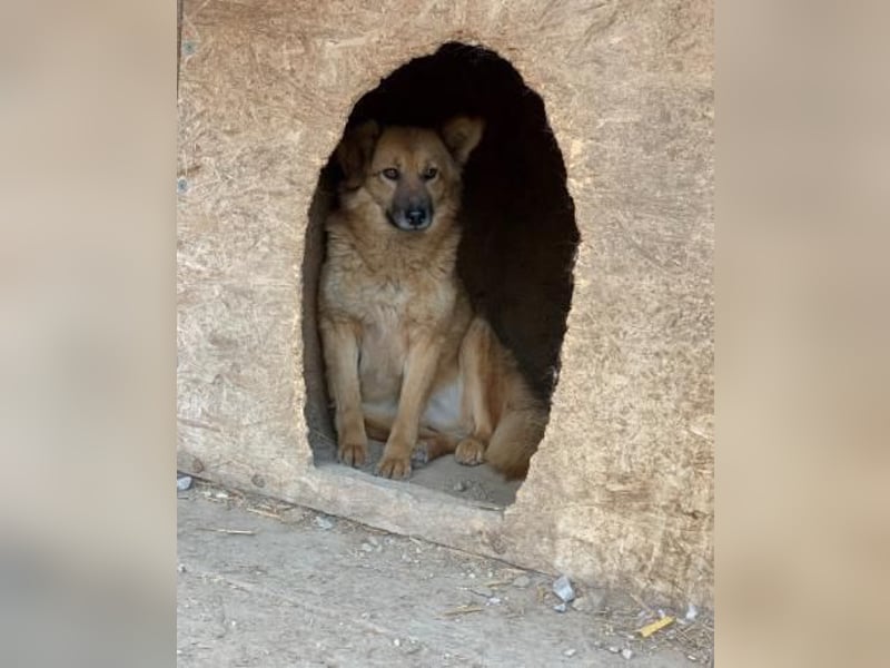 Sanfte TESSA sucht DIch!