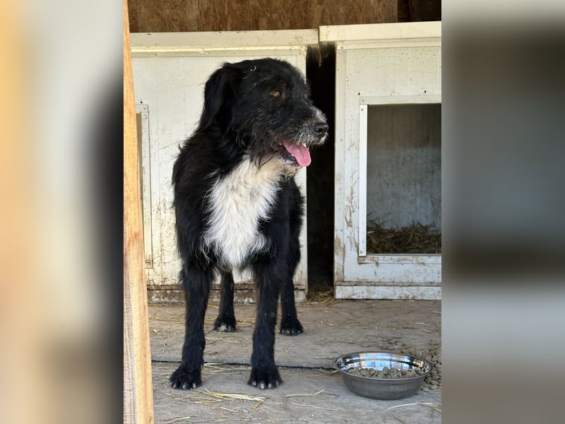 BLACKY möchte das Leben kennenlernen