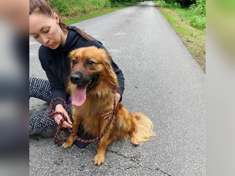 Hübscher Reno sucht ein Zuhause ❤️