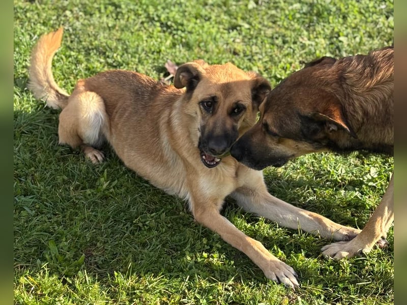 Luna wartet auf ihr Glück❤️