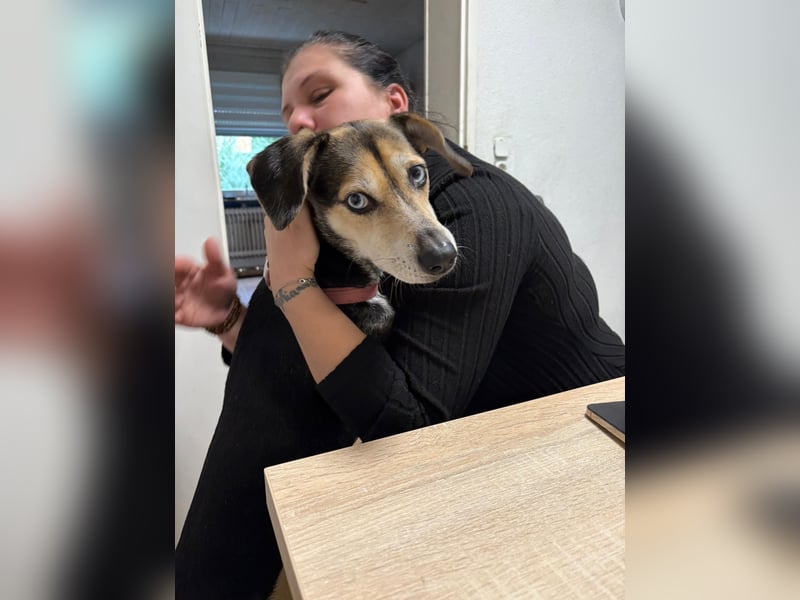 Menschenbezogene RONJA sucht perfect match ❤️