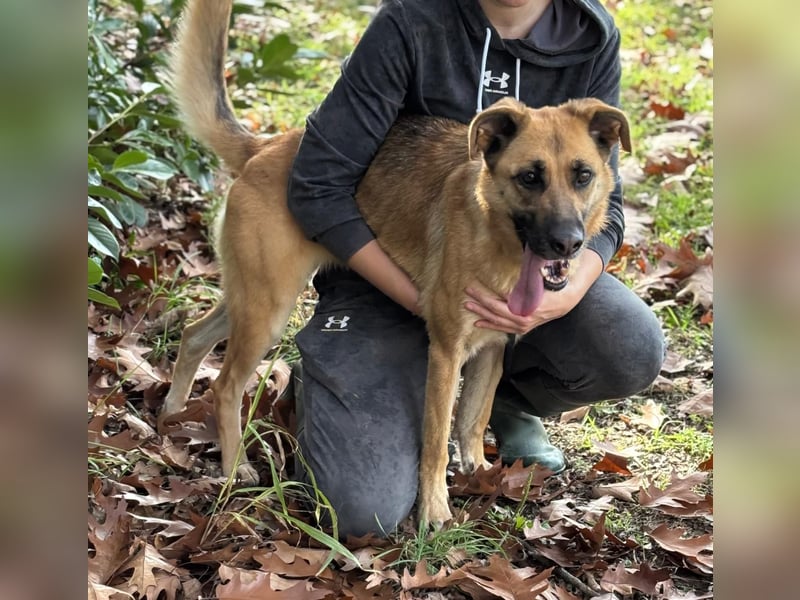 Luna wartet auf ihr Glück❤️