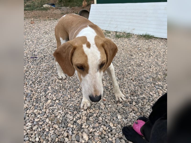 Rain sucht forever Home❤️