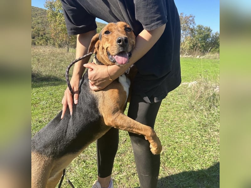 Kendra sucht ihre Familie ❤️