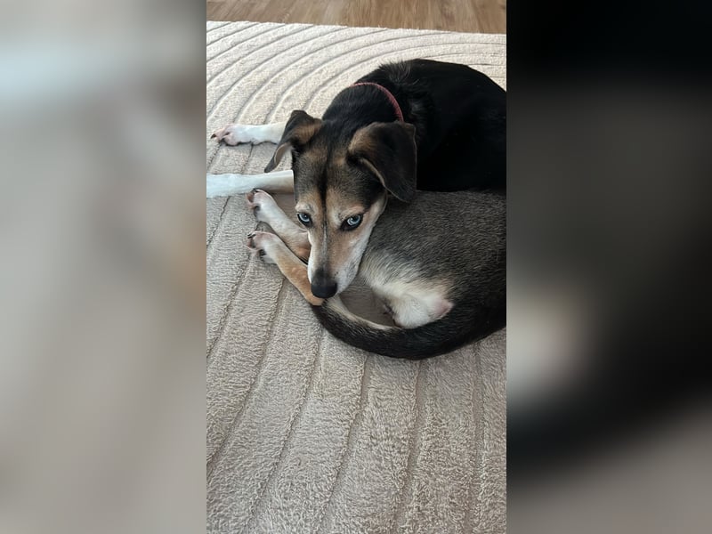 Menschenbezogene RONJA sucht perfect match ❤️