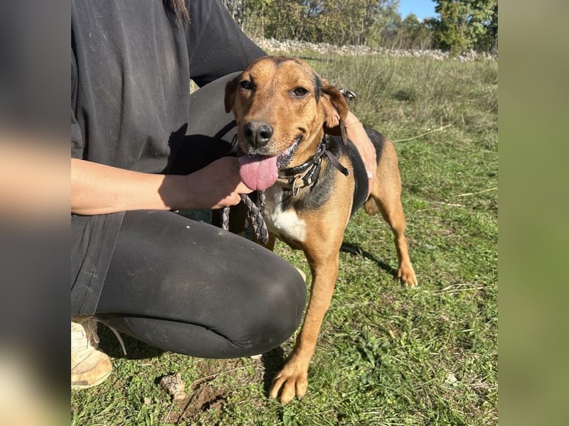 Kendra sucht ihre Familie ❤️