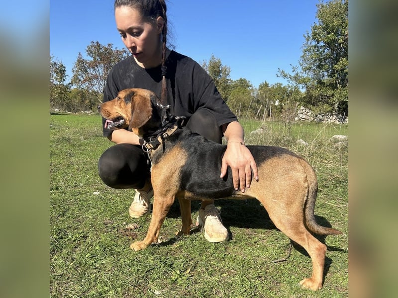 Kendra sucht ihre Familie ❤️