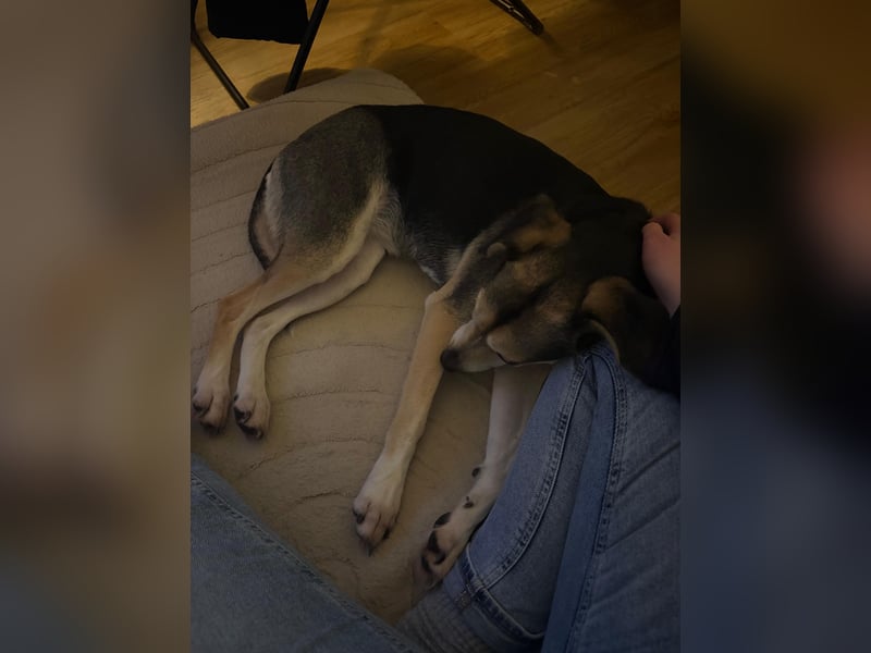 Menschenbezogene RONJA sucht perfect match ❤️