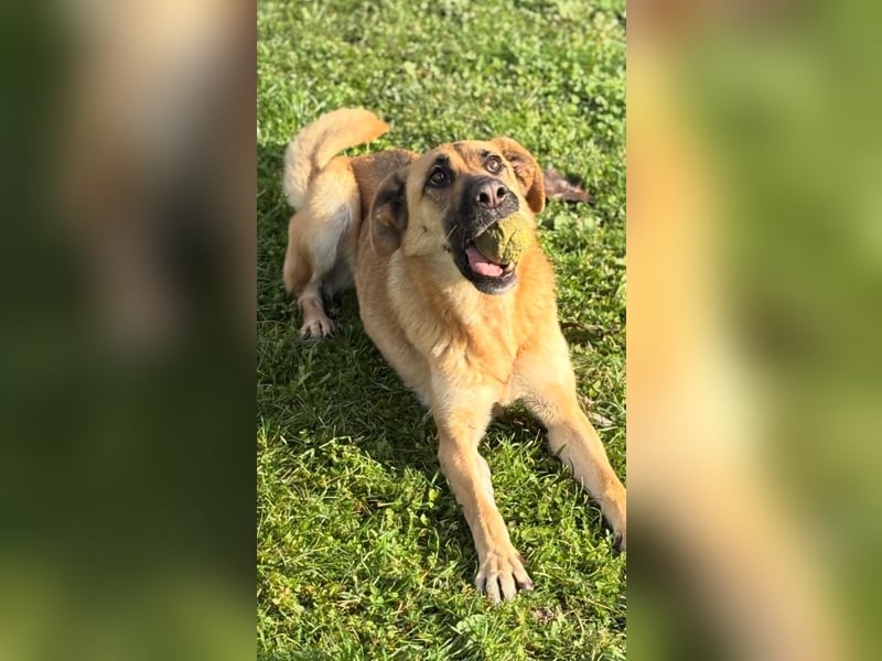 Luna wartet auf ihr Glück❤️