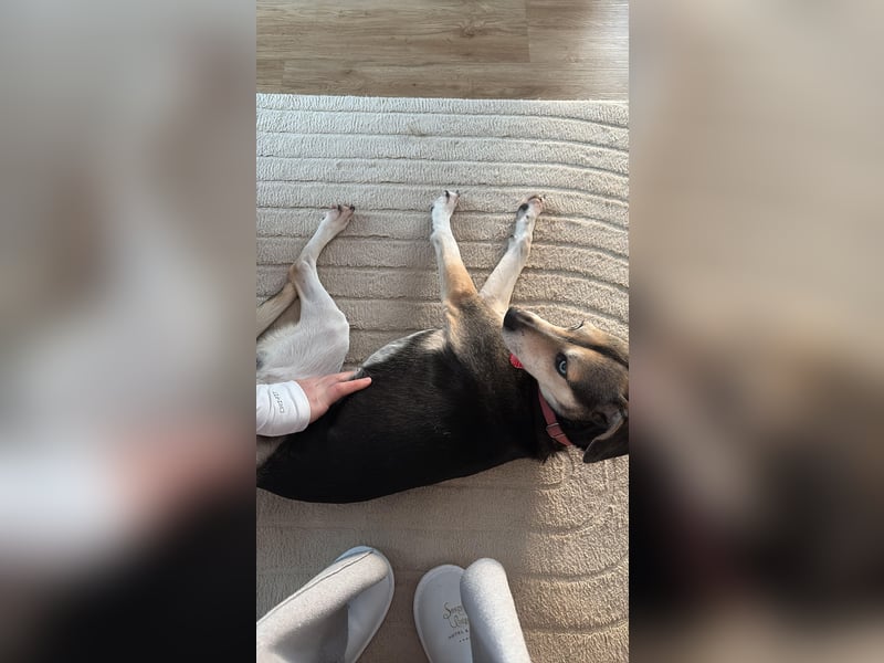 Menschenbezogene RONJA sucht perfect match ❤️