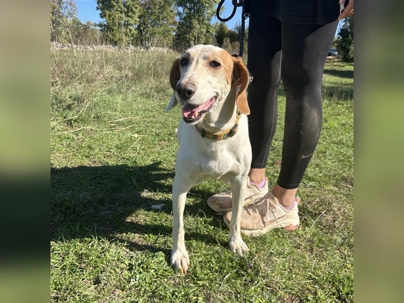 Irma sucht ein Zuhause ❤️