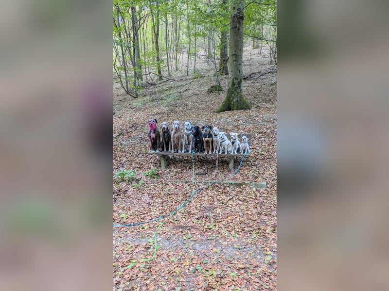 Zako will endlich ankommen ❤️