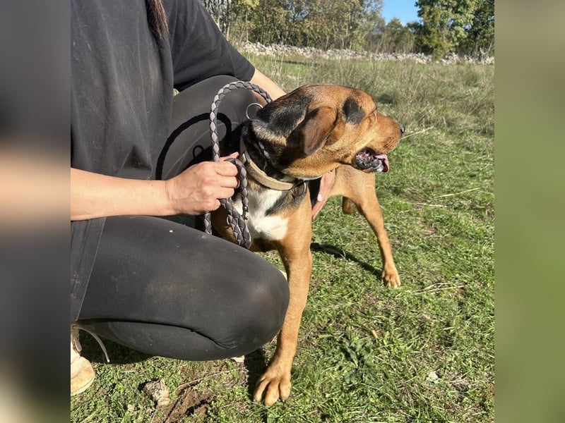 Kendra sucht ihre Familie ❤️