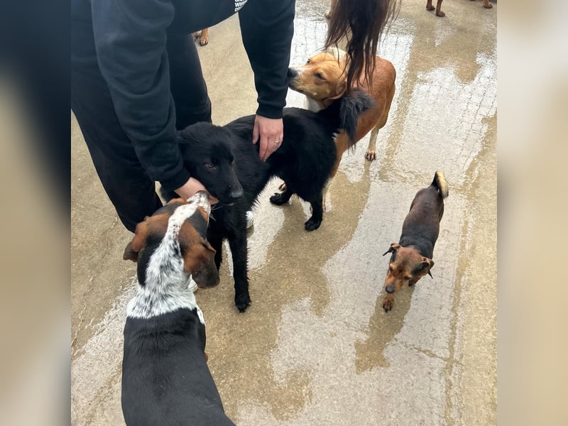 Liebe Mirka sucht ihre Familie ❤️