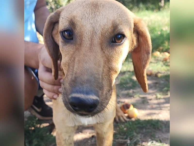 Zarte Lina sucht ihre Herzmenschen❤️