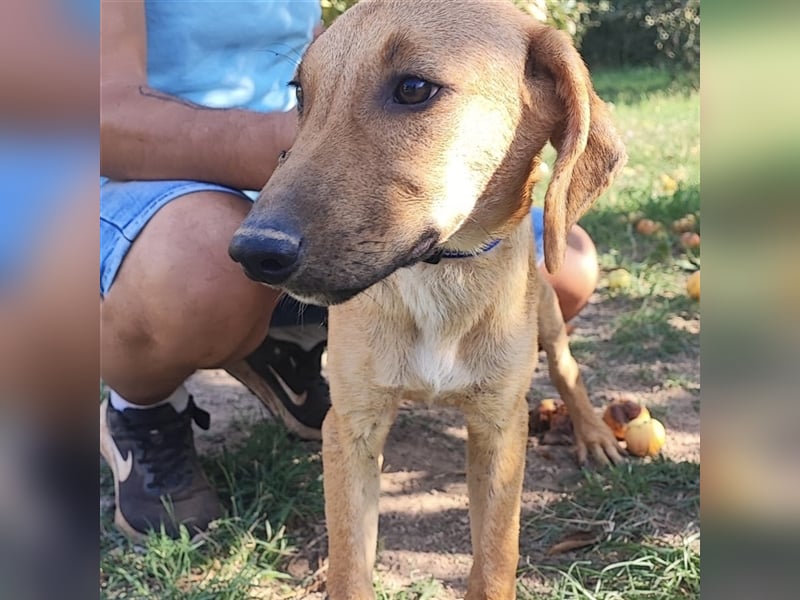 Zarte Lina sucht ihre Herzmenschen❤️