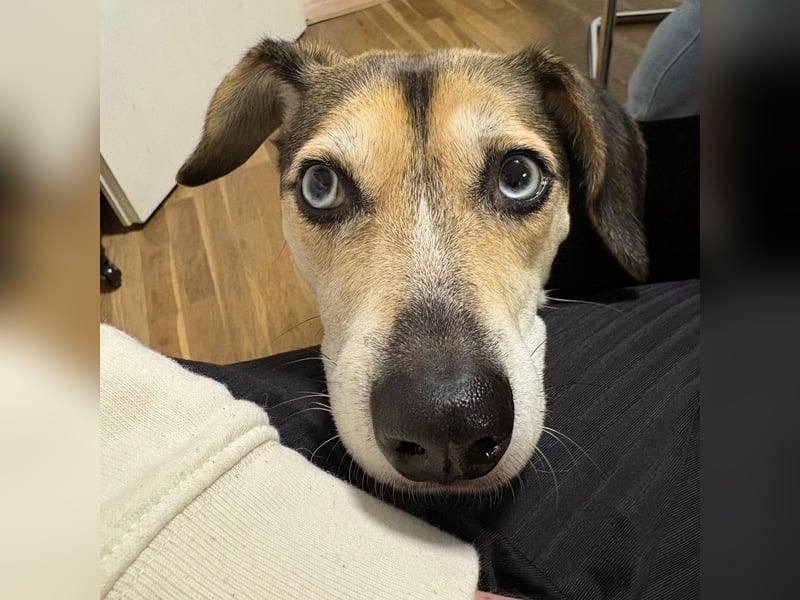 Menschenbezogene RONJA sucht perfect match ❤️