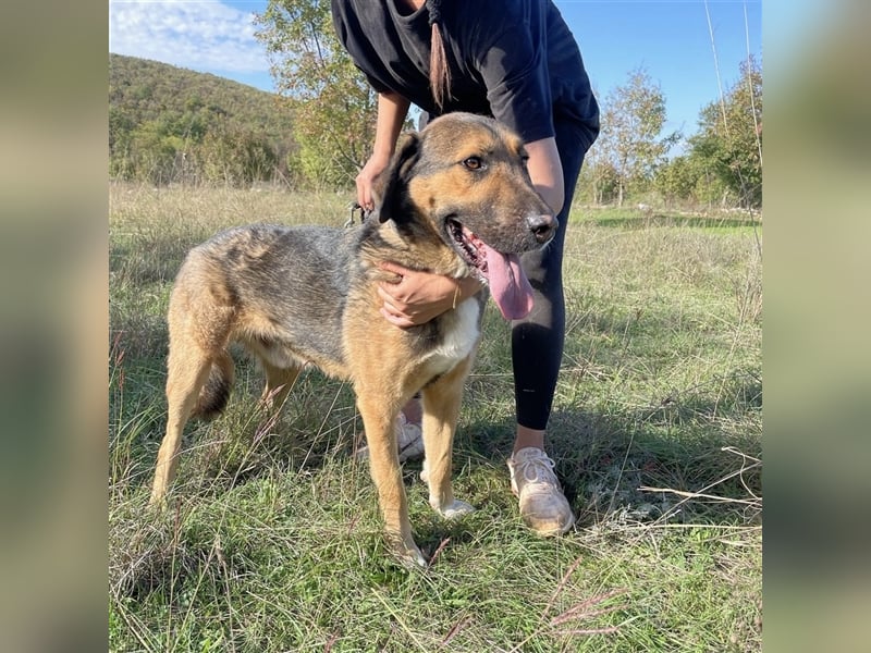 Corny sucht sein Für-Immer-Zuhause ❤️