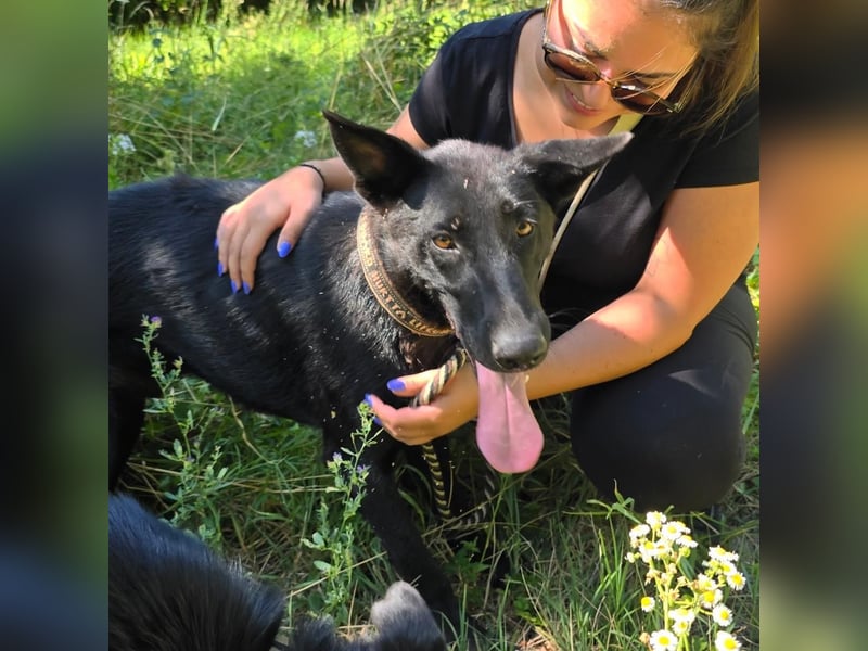 Mario sucht sein Für-immer-Zuhause ❤️