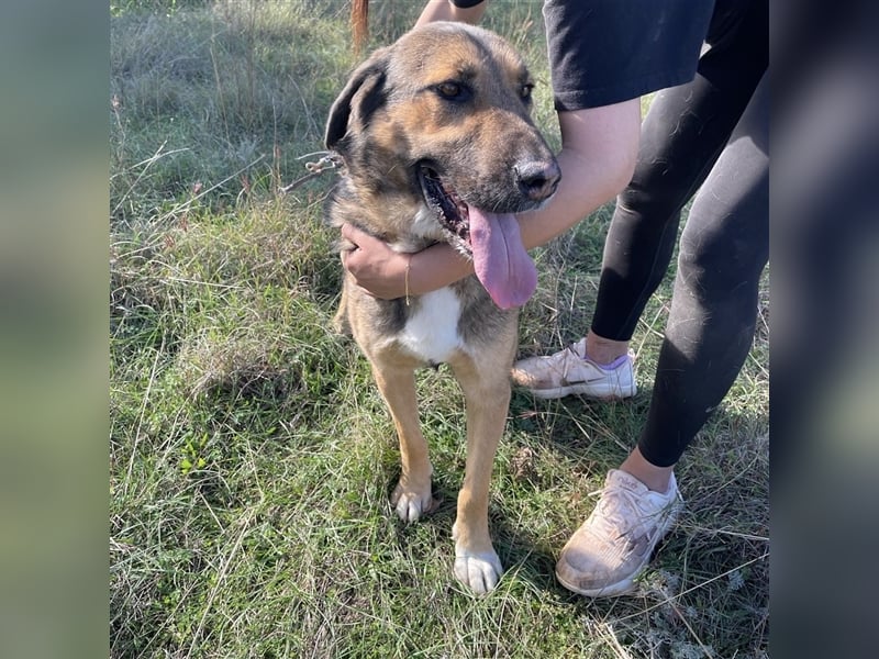 Corny sucht sein Für-Immer-Zuhause ❤️