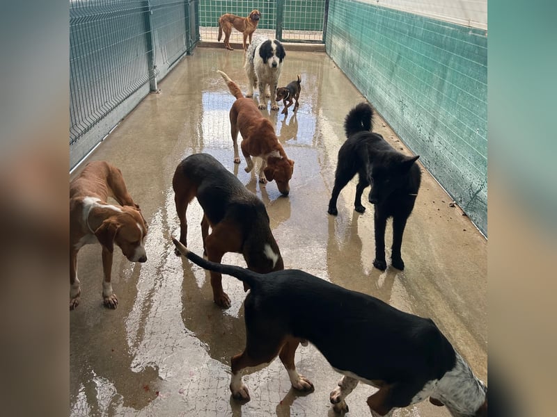 Liebe Mirka sucht ihre Familie ❤️