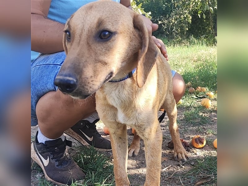 Zarte Lina sucht ihre Herzmenschen❤️