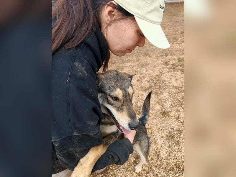 ARTHUR sucht seine Für-Immer-Familie❤️