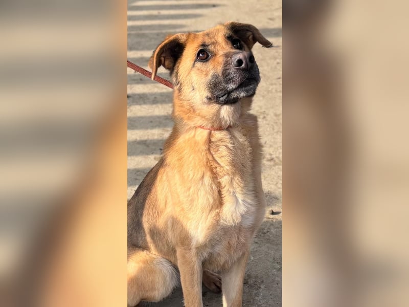 Luna wartet auf ihr Glück❤️