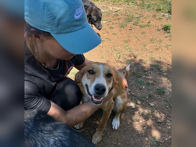 Zarte Seele Sanja sucht Für-Immer-Zuhause❤️