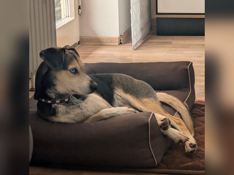 Menschenbezogene RONJA sucht perfect match ❤️