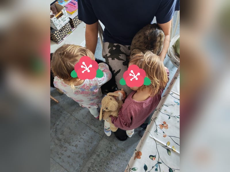 Mirta sucht ihr forever Home❤️