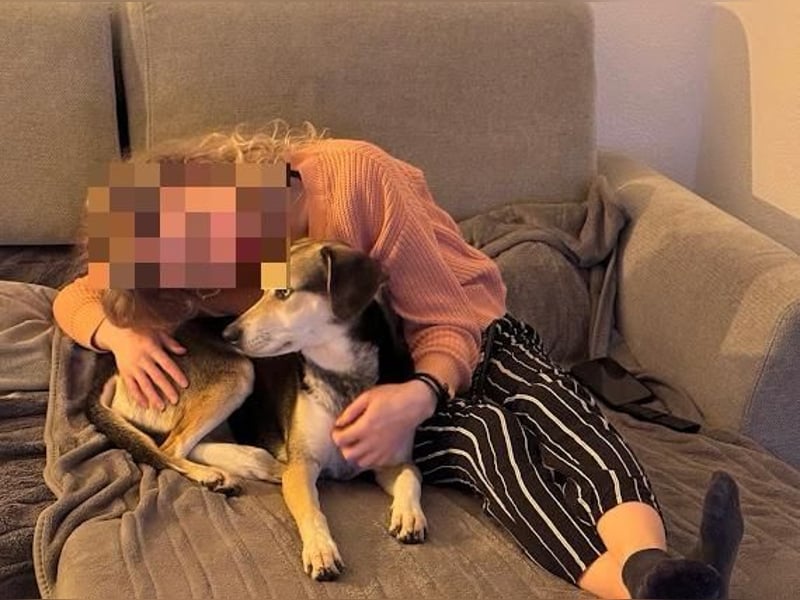 Ronja sucht ihr forever Home❤️