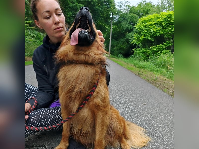 Hübscher Reno sucht ein Zuhause ❤️