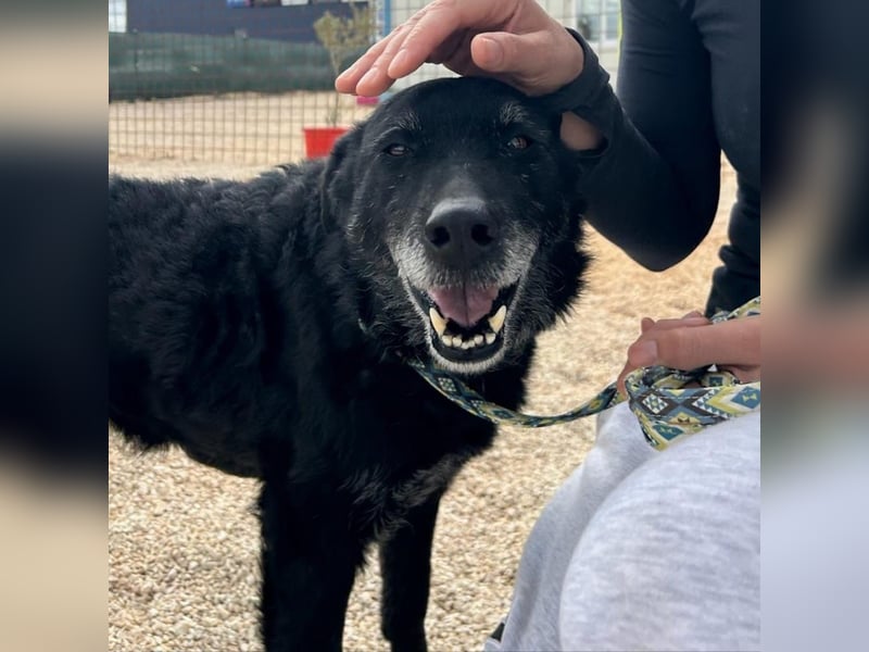Naomi & Lero suchen ihr Für-immer-Zuhause ❤️