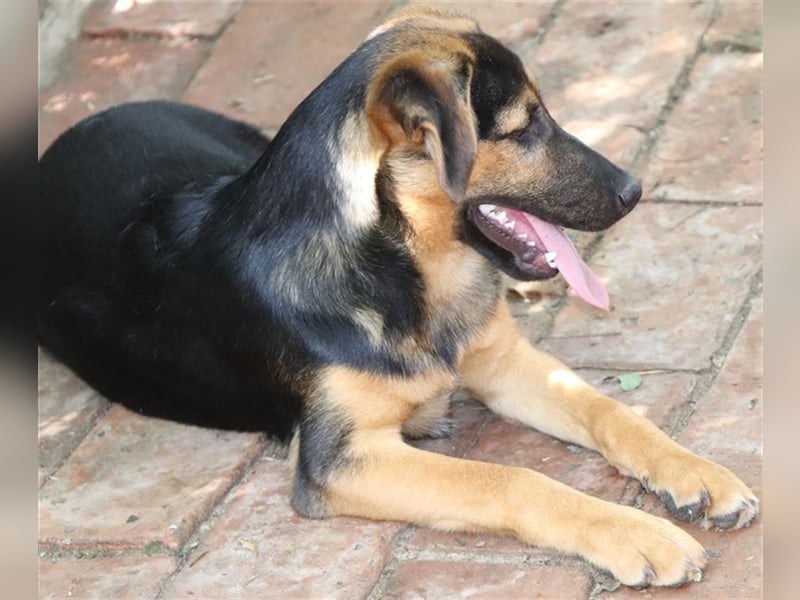 Unser Rudi sucht sein Glück :-)