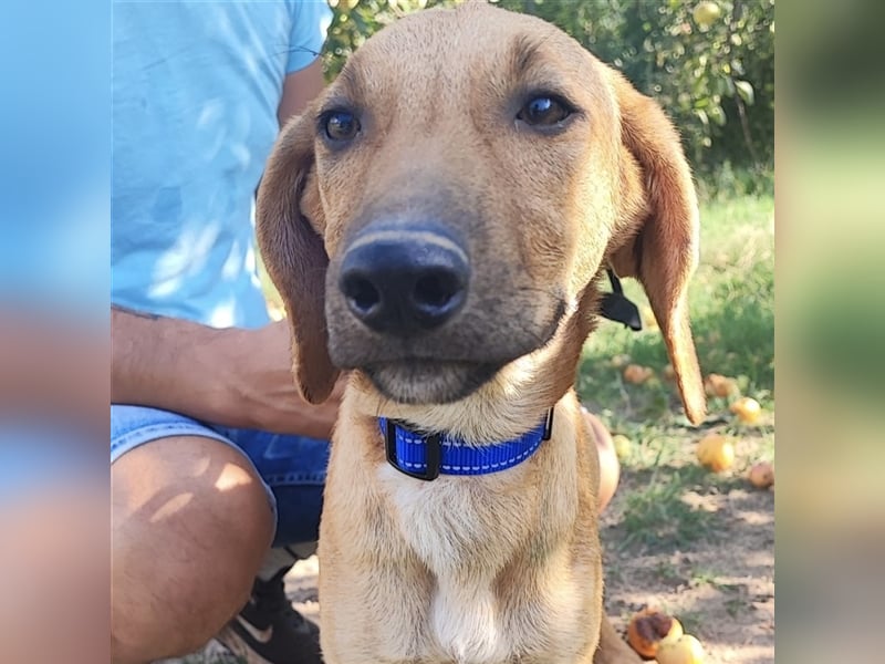 Zarte Lina sucht ihre Herzmenschen❤️