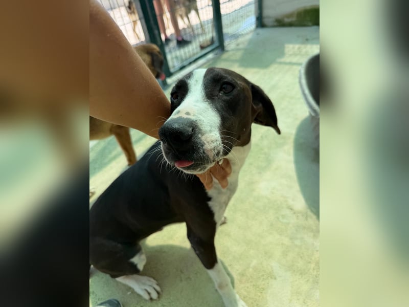 Yuri sucht sein forever Home ❤️