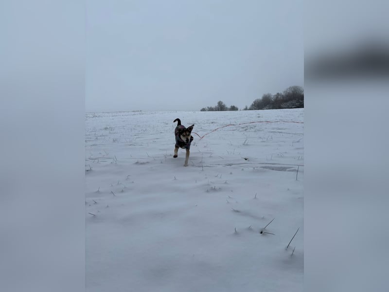 Menschenbezogene RONJA sucht perfect match ❤️