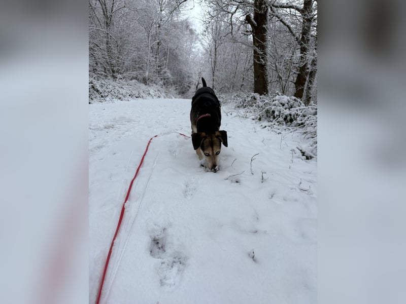 Menschenbezogene RONJA sucht perfect match ❤️