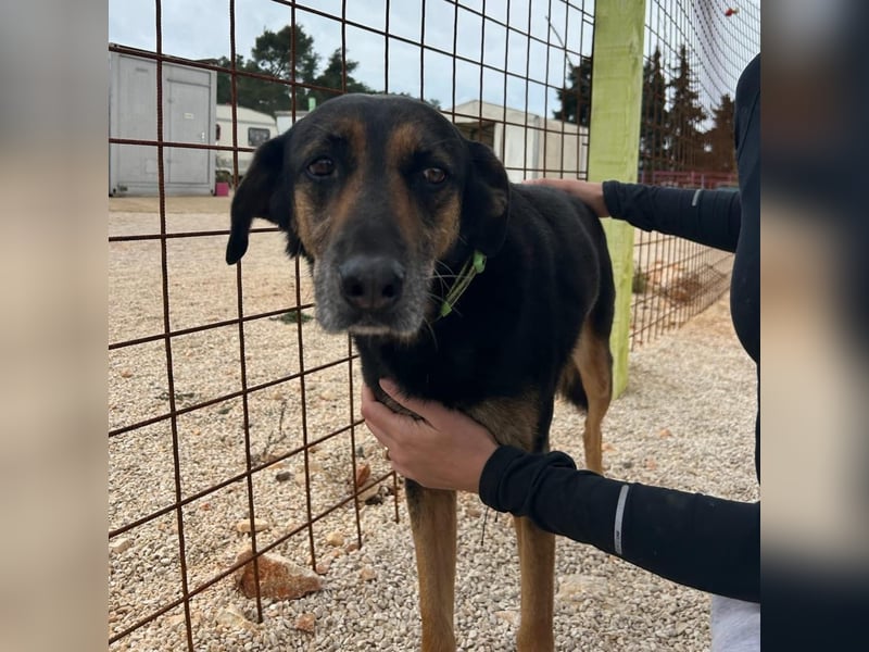 Naomi & Lero suchen ihr Für-immer-Zuhause ❤️