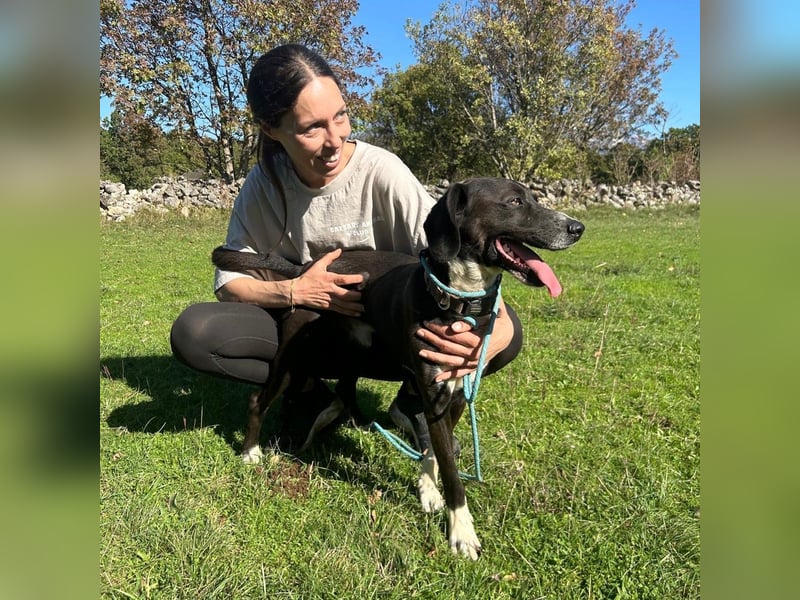 Bobi sucht sein Für-Immer-Zuhause ❤️