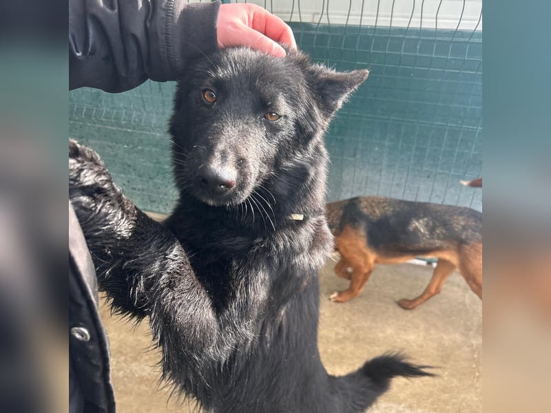 Liebe Mirka sucht ihre Familie ❤️