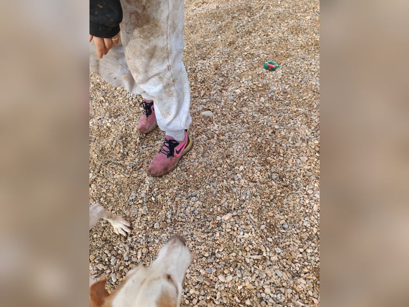 Zarte IRMA sucht Zuhause oder PS ❤️